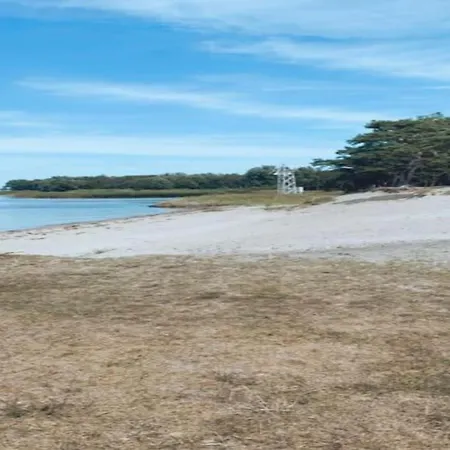 Apartment Relaxation On Usedom S Shores Wilhelmshof